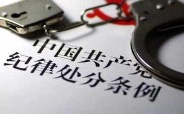 纪律委的工作计划参考5篇