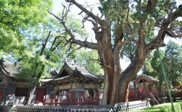 介绍晋祠的演讲稿范文通用5篇