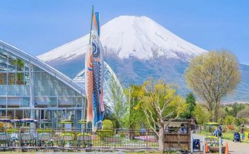 秋天写景的作文5篇