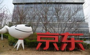 在京东派工作总结7篇