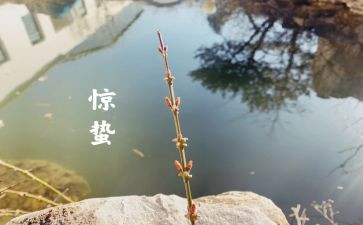 大班惊蛰来了教案5篇