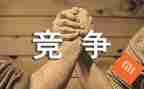 2024竞争上岗述职报告范文6篇