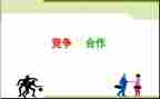 竞争与合作作文精选6篇