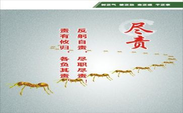 党员履职尽责心得体会6篇