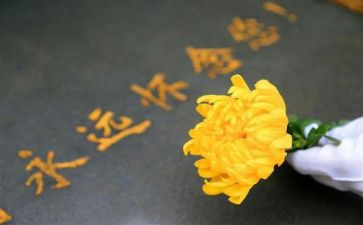 清明节祭扫讲话稿6篇