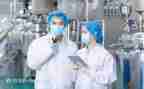 2024年技术员个人年终工作总结8篇