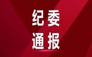 镇纪委个人总结范文8篇