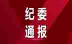 镇纪委个人总结范文8篇