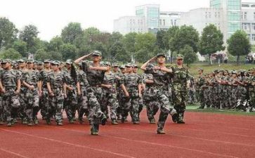 简短军训心得体会6篇