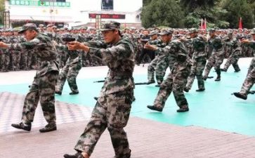 关于军训的心得体会模板7篇