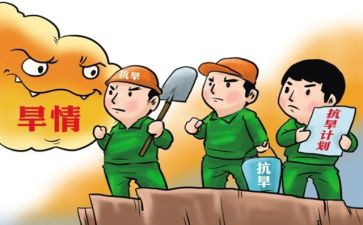 抗旱工作总结通用8篇