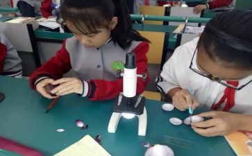 小学科学课个人总结5篇