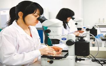 小学个人科研工作计划8篇