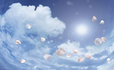 空气污染调查报告范文8篇
