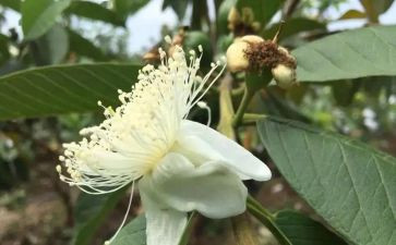 来穗宣传活动总结范文8篇