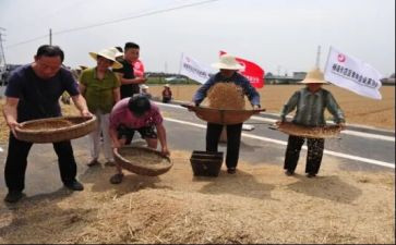 粮食节约演讲稿推荐7篇