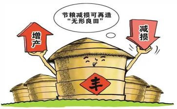 粮食节的发言稿800字5篇