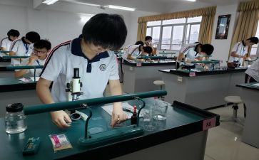 理化教研工作计划优秀6篇