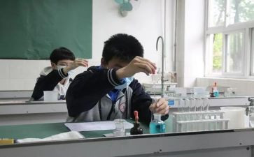 理化员工作计划模板7篇