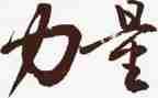 团结的力量500字作文5篇