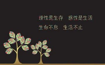 励志之星事迹范文7篇