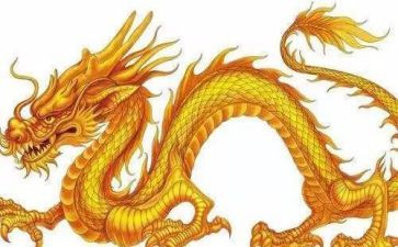 赛龙舟活动方案策划6篇