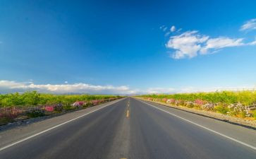 道路交通安全会议讲话稿6篇