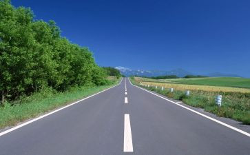 在成长路上作文最新8篇