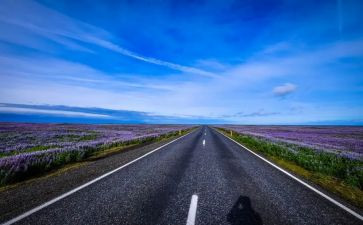道路与桥梁心得体会7篇