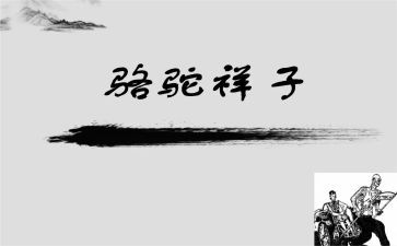 读骆驼驼祥子心得体会7篇