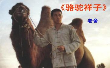 骆驼翔子心得体会优质8篇