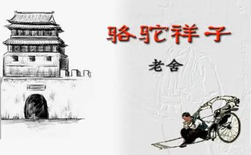 读骆驼祥子心得体会最新5篇