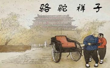 骆驼翔子心得体会推荐7篇