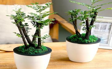 绿化工作总结报告5篇