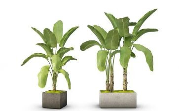 绿化工作总结总结通用5篇