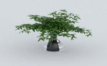 2024绿化工作总结模板5篇