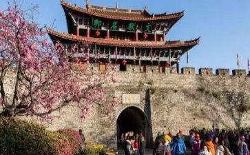 旅游组工作计划优质7篇