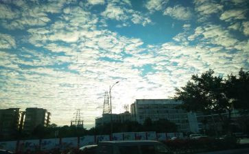 满分教育学习心得体会5篇