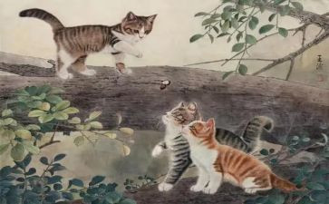讲熊猫的作文5篇