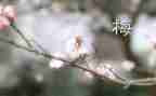 张桂梅精神的心得体会8篇