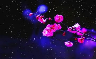 梅花桩的教案通用6篇