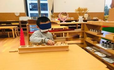 幼儿园蒙氏教学总结优质5篇