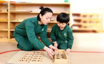 幼儿园蒙氏教育心得体会精选8篇