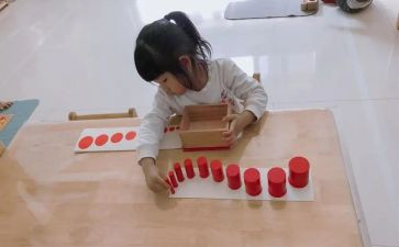 蒙氏教育培训总结最新7篇