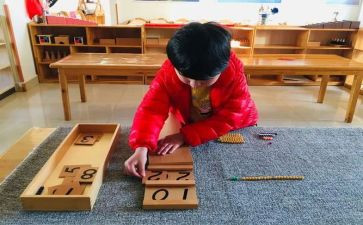 幼儿园蒙氏教育心得体会优秀6篇