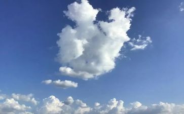 明天我_作文通用7篇