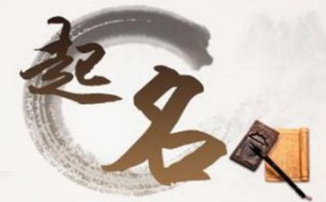 名字的来历作文7篇