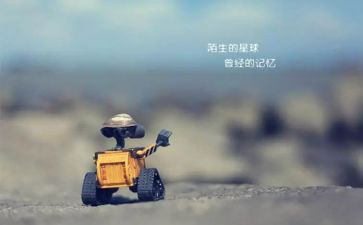 陌生人幼儿园教案7篇