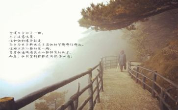 《目送》读书心得5篇