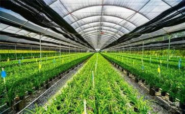 农业工作报告总结通用5篇